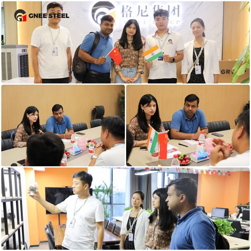 Gnee Customer visit Gnee Customer visit